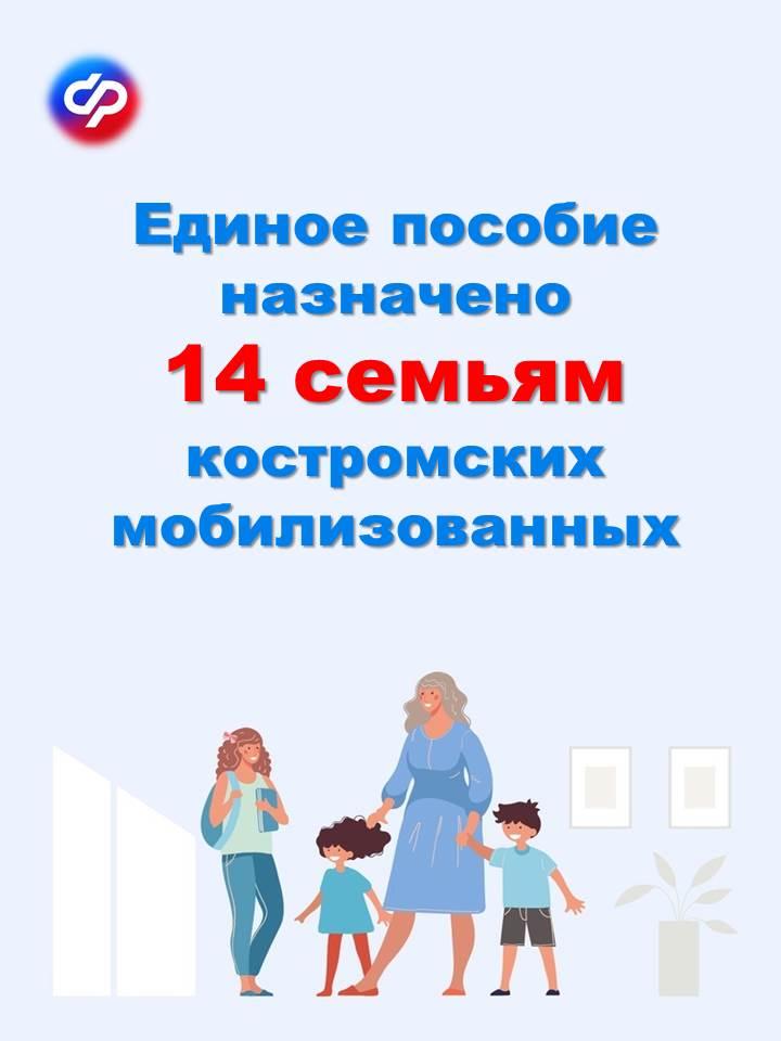 Отделением СФР по Костромской области назначено единое пособие 14 семьям костромских мобилизованных