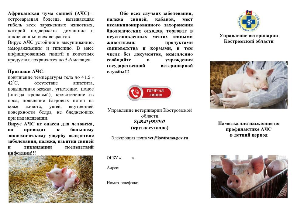 АЧС в летний период
