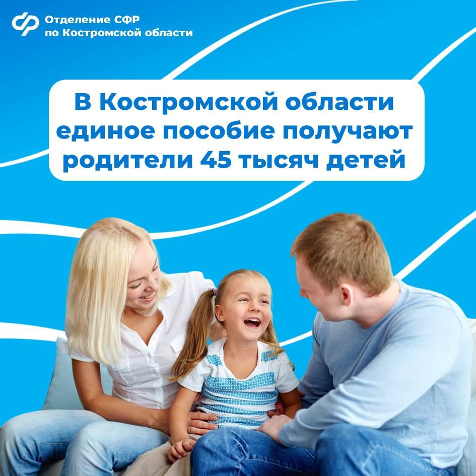 Отделение СФР по Костромской области выплачивает единое пособие семьям региона на 45 тысяч детей