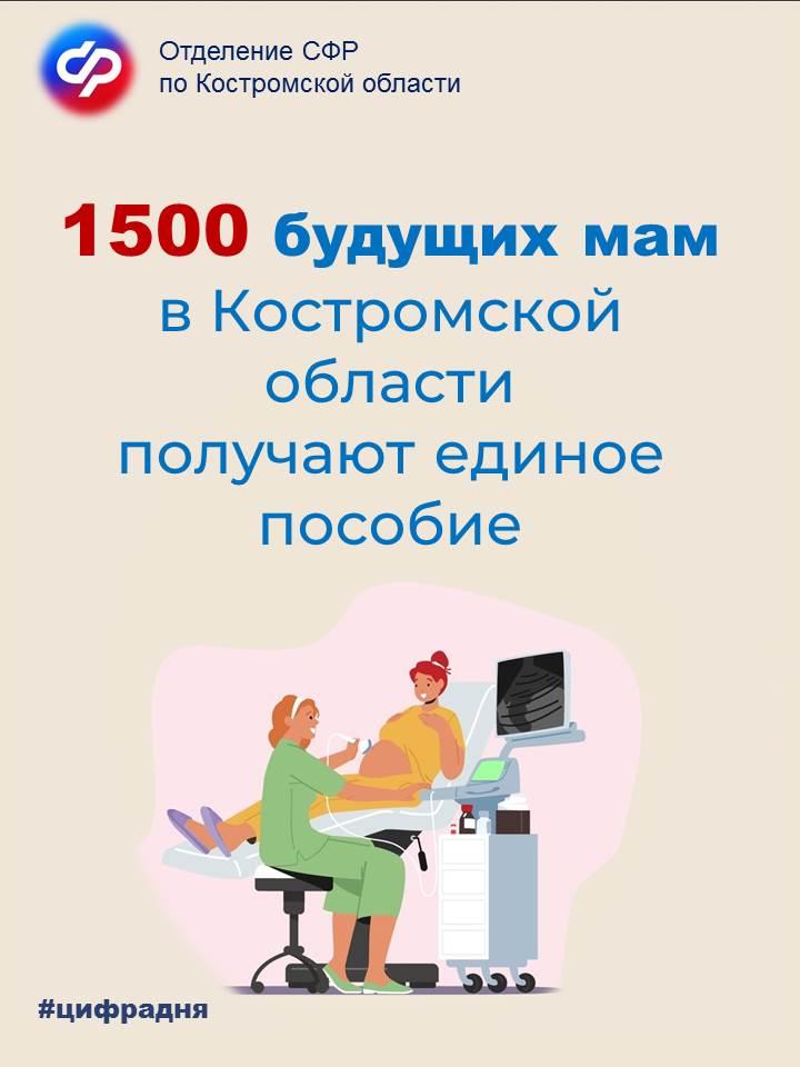 1500 будущих мам в Костромской области получают единое пособие